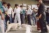 Hunde - ein Luxus; nur f�r Reiche