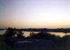 Tigris am Abend